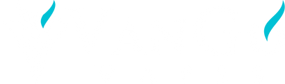 VanGo Vapes Wholesale